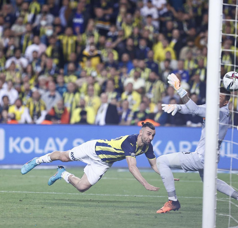 سردار دورسون گل فنرباغچه