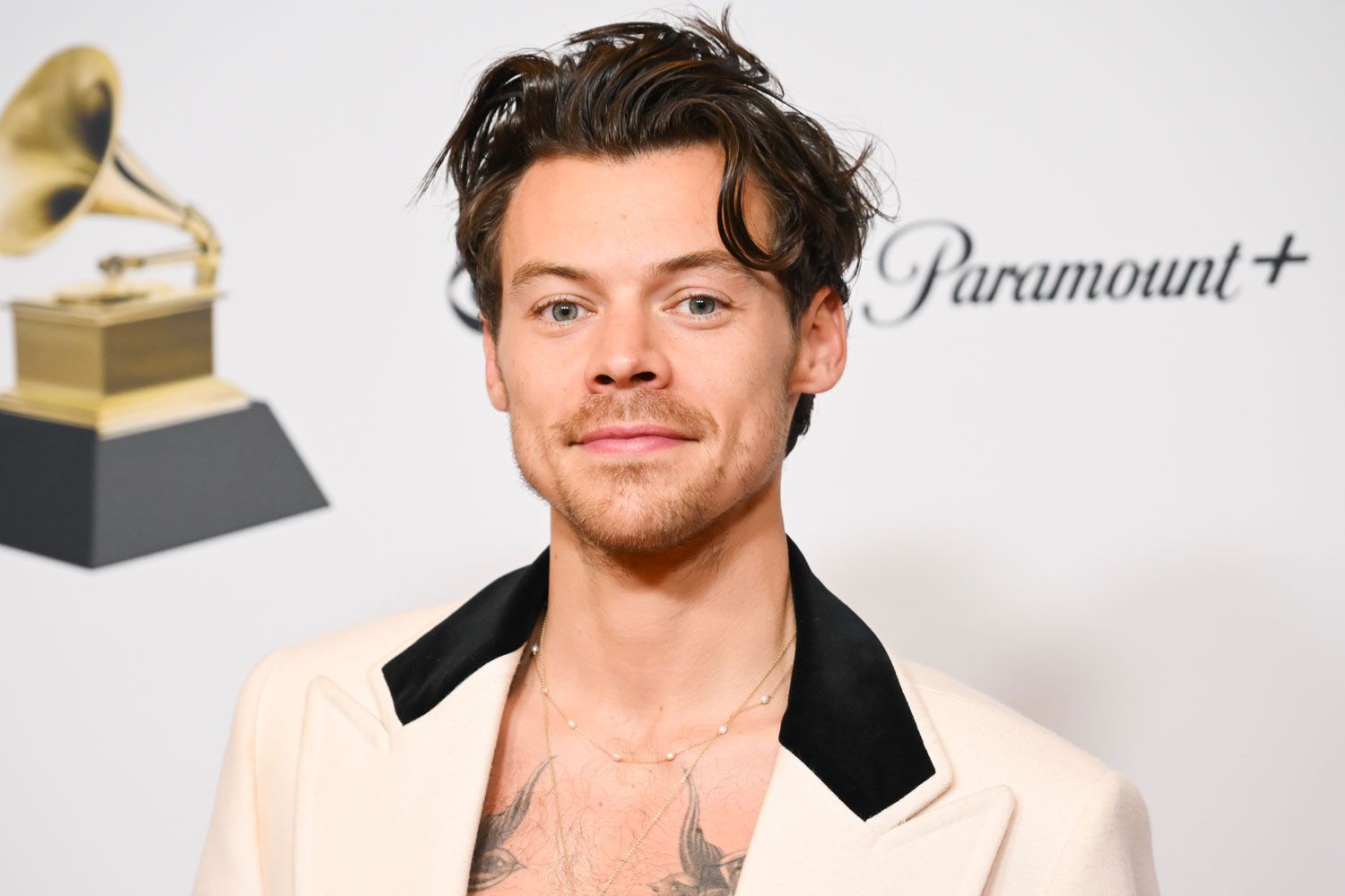 Harry Styles خواننده و بلاگر