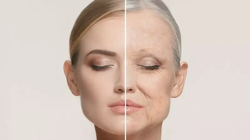 خواص روغن شتر مرغ برای چین و چروک