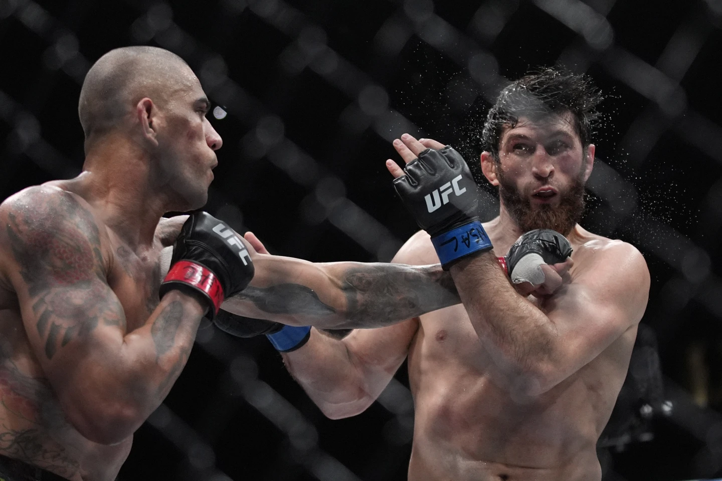 نبرد سرنوشت ساز آنکالایف و پریرا