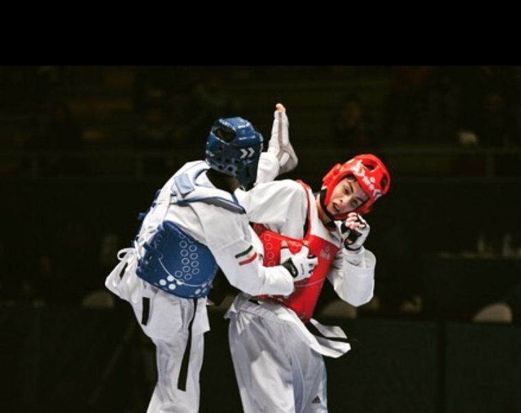 تصویر امیرسینا بختیاری تکواندوکار