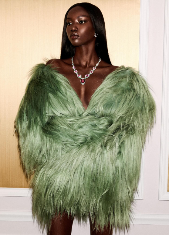 آنوک یای عنوان بهترین مدل سال 2025