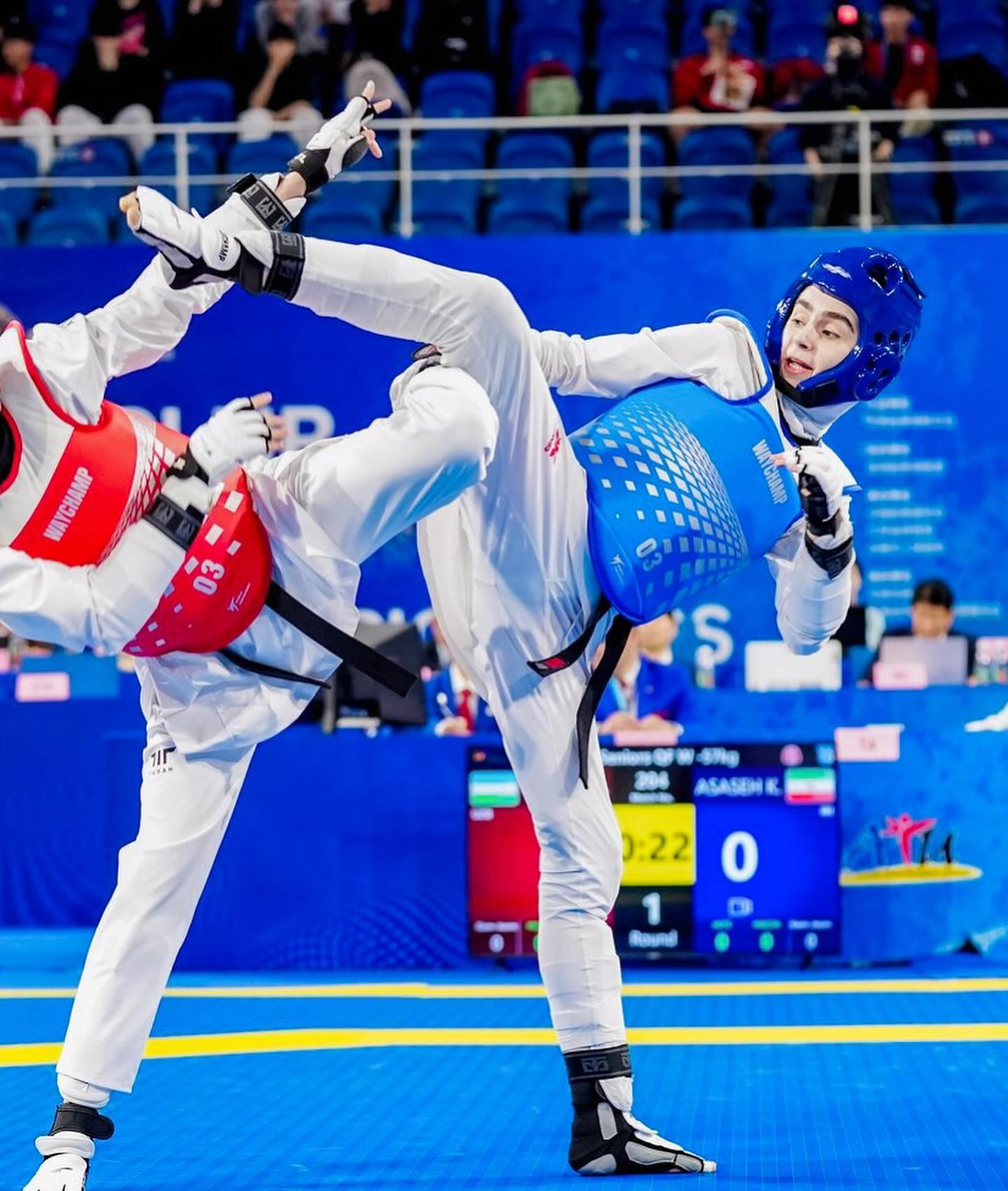 عکس های کوثر اساسه 